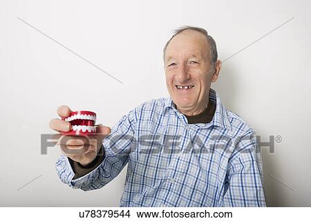 Portrait of smiling senior man holding teeth model against gray background View Large Photo Image Picture - Portrait of smiling senior man holding teeth model against gray background. Fotosearch