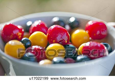 Bowl of mixed berries View Large Photo Image Stock Photo - Bowl of mixed berries. Fotosearch