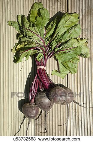 Stock Photo - Bunch of beetroots. Fotosearch