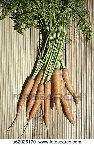 Bunch of carrots View Large Photo Image Stock Image - Bunch of carrots. Fotosearch