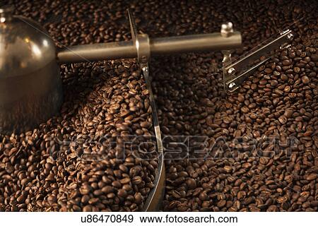 Close up of coffee beans in coffee grinder View Large Photo Image Stock Photo - Close up of coffee beans in coffee grinder. Fotosearch