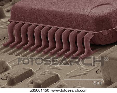Coloured SEM of computer chip View Large Photo Image Stock Image - Coloured SEM of computer chip. Fotosearch