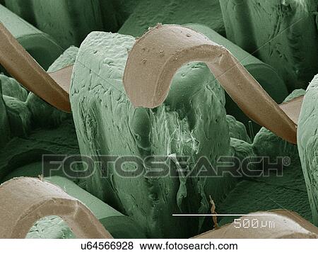 Coloured SEM of computer chip View Large Photo Image Stock Photo - Coloured SEM of computer chip. Fotosearch