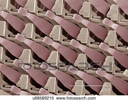 Stock Photography - Coloured SEM of computer chip. Fotosearch