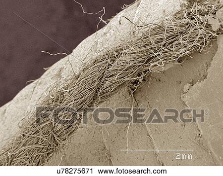Stock Image - Coloured SEM of grease pencil. Fotosearch