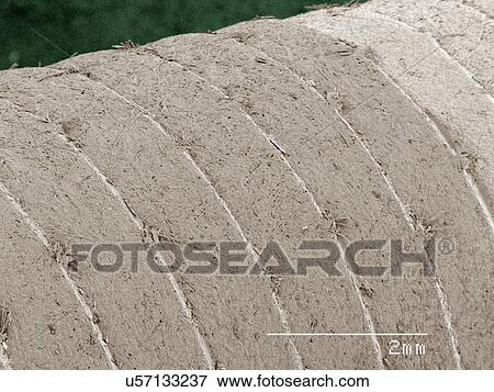 Stock Photo - Coloured SEM of grease pencil. Fotosearch