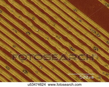 Picture - Coloured SEM of grooves on vinyl record. Fotosearch