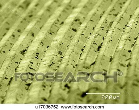 Coloured SEM of grooves on vinyl record View Large Photo Image Stock Image - Coloured SEM of grooves on vinyl record. Fotosearch
