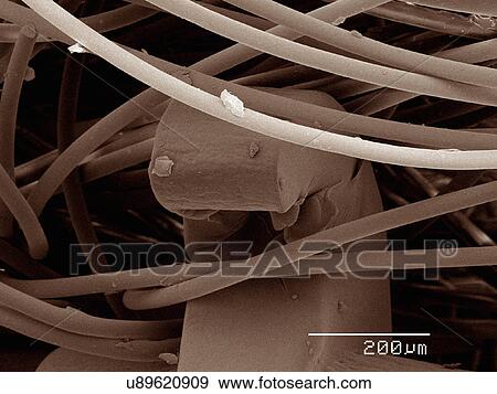 Stock Photo - Coloured SEM of hook and loop fastener. Fotosearch