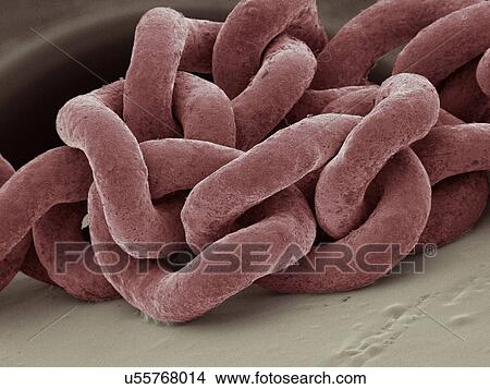 Coloured SEM of jewellery chain View Large Photo Image Picture - Coloured SEM of jewellery chain. Fotosearch