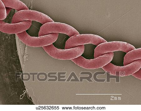 Stock Photography - Coloured SEM of jewellery chain. Fotosearch