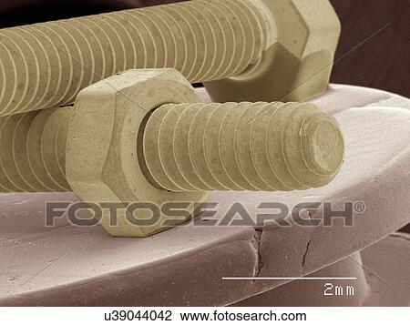 Stock Image - Coloured SEM of nut and bolt. Fotosearch