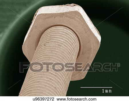 Stock Image - Coloured SEM of nut and bolt. Fotosearch