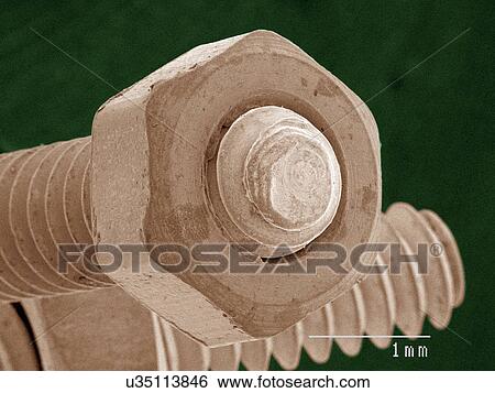 Stock Photograph - Coloured SEM of nut and bolt. Fotosearch