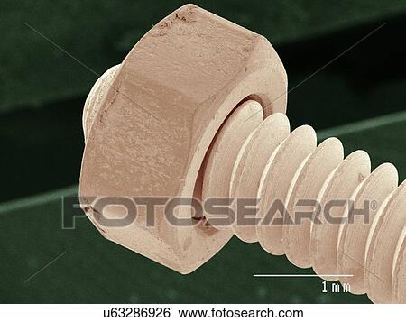 Stock Photograph - Coloured SEM of nut and bolt. Fotosearch