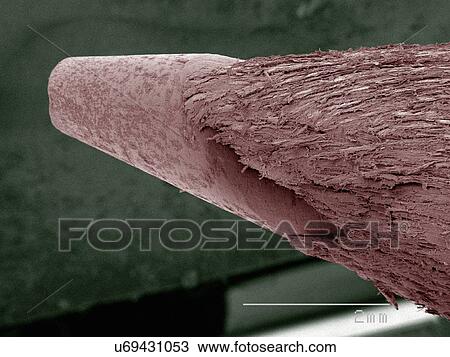 Stock Image - Coloured SEM of pencil nib. Fotosearch