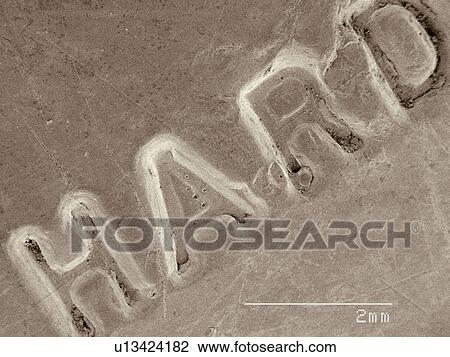 Stock Image - Coloured SEM of rubber haircomb. Fotosearch