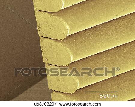 Stock Photo - Coloured SEM of staples. Fotosearch
