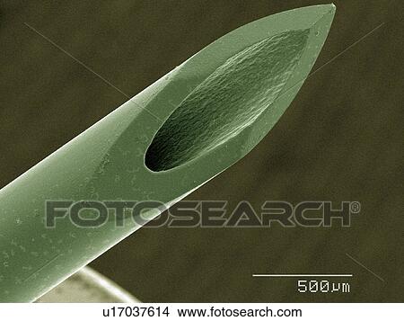 Coloured SEM of syringe View Large Photo Image Picture - Coloured SEM of syringe. Fotosearch