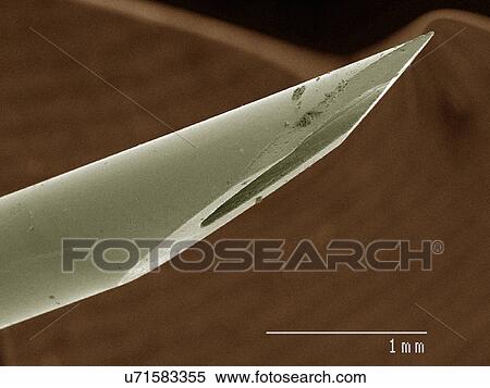 Stock Photography - Coloured SEM of syringe. Fotosearch