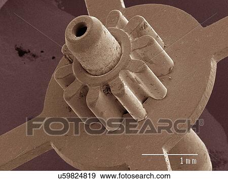 Stock Photo - Coloured SEM of watch part. Fotosearch