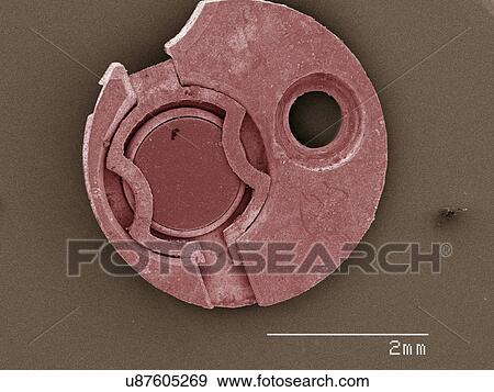 Stock Photo - Coloured SEM of watch part. Fotosearch