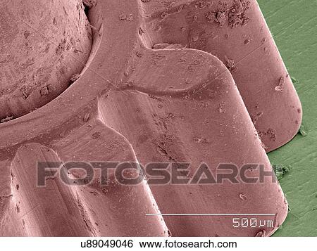 Stock Photograph - Coloured SEM of watch part. Fotosearch