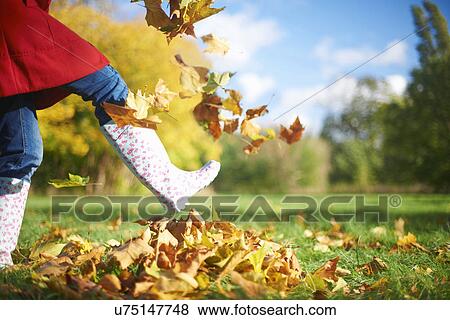 Cropped shot of mature woman kicking autumn leaves in park View Large Photo Image Stock Photo - Cropped shot of mature woman kicking autumn leaves in park. Fotosearch