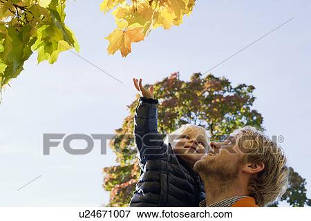 Stock Photo - Father and son looking up at trees. Fotosearch