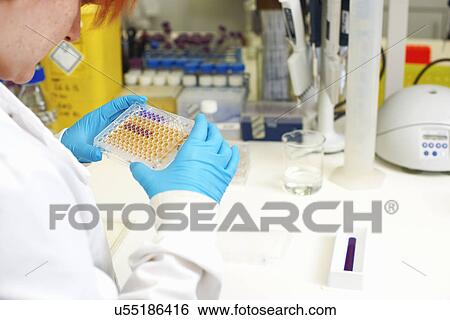 Stock Photograph - Female scientist examining multiwell dish. Fotosearch