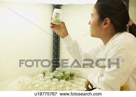 Female scientist examining plant sample in jar View Large Photo Image Stock Photo - Female scientist examining plant sample in jar. Fotosearch