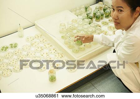 Female scientist holding plant sample in jar View Large Photo Image Stock Image - Female scientist holding plant sample in jar. Fotosearch