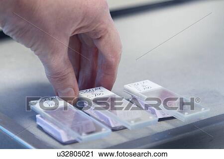 Female scientist organising samples View Large Photo Image Stock Image - Female scientist organising samples. Fotosearch