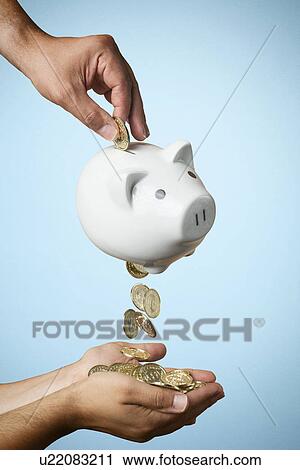 Hand putting coin into piggy bank and coins flowing out View Large Photo Image Stock Image - Hand putting coin into piggy bank and coins flowing out. Fotosearch