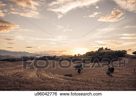 Stock Photograph - Harvested fields at sunset, La Marche, Italy. Fotosearch
