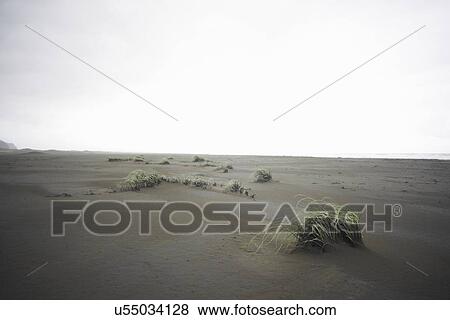 Karekare beach, Karekare, New Zealand View Large Photo Image Stock Photo - Karekare beach, Karekare, New Zealand. Fotosearch