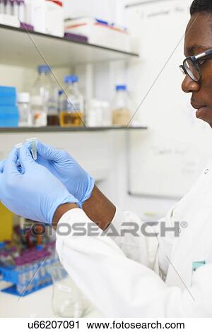 Stock Image - Male scientist looking at test tubes. Fotosearch
