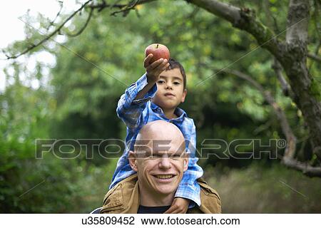 Stock Image - Male toddler holding an apple and sitting on fathers shoulders. Fotosearch