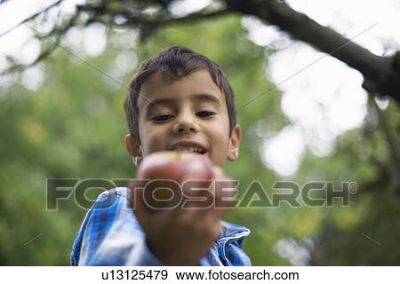Male toddler in the garden holding an apple View Large Photo Image Stock Photo - Male toddler in the garden holding an apple. Fotosearch