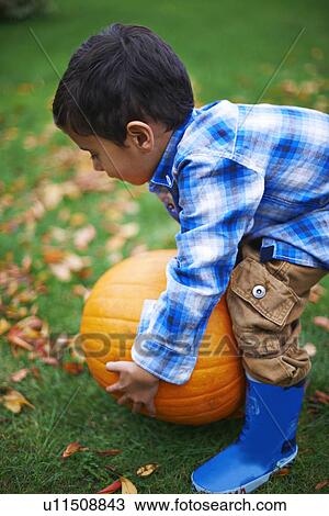 Male toddler in the garden picking up pumpkin View Large Photo Image Stock Image - Male toddler in the garden picking up pumpkin. Fotosearch