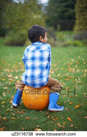 Stock Photo - Male toddler in the garden sitting on pumpkin. Fotosearch