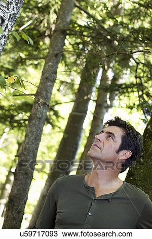 Mature man looking up at trees in forest View Large Photo Image Stock Image - Mature man looking up at trees in forest. Fotosearch