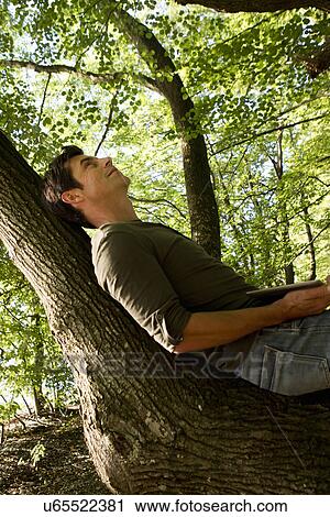 Mature man reclining on tree trunk in forest View Large Photo Image Stock Image - Mature man reclining on tree trunk in forest. Fotosearch