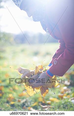 Mature woman picking up leaves in autumn park View Large Photo Image Stock Image - Mature woman picking up leaves in autumn park. Fotosearch