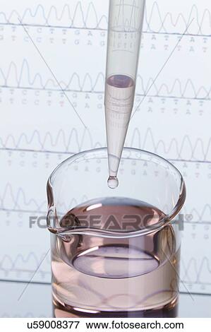 Stock Photo - Micropipette and small beaker, DNA sequencing in background. Fotosearch