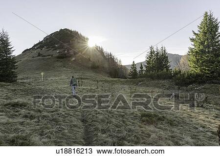 Stock Image - Mid adult woman hiking in Achensee, Tyrol, Austria. Fotosearch
