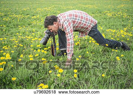 Stock Photo - Photographer focusing closely on object in grass. Fotosearch