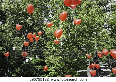 Red heart shaped balloons floating upward from park View Large Photo Image Stock Image - Red heart shaped balloons floating upward from park. Fotosearch
