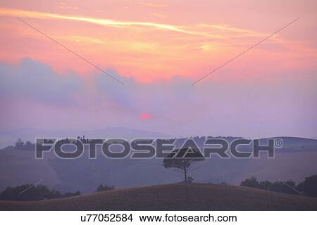 Rural landscape at sunset, Tuscany, Italy View Large Photo Image Picture - Rural landscape at sunset, Tuscany, Italy. Fotosearch