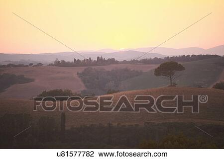 Rural landscape at sunset, Tuscany, Italy View Large Photo Image Stock Image - Rural landscape at sunset, Tuscany, Italy. Fotosearch